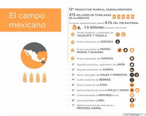 El campo mexicano