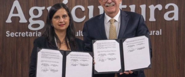 Avanzamos en cooperación, innovación y comercio...