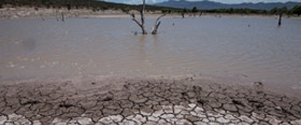 Sequía colapsa al campo mexicano